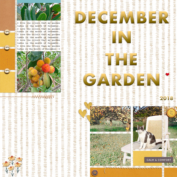 December in my Garden