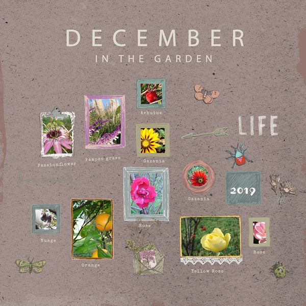 December in the Garden