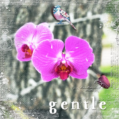 December Monthly Muse Week 2