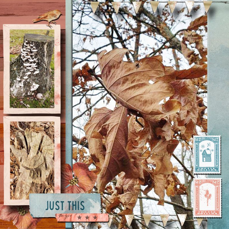 December Photography Challenge