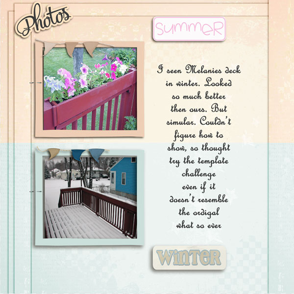 Deck in Summer/Winter