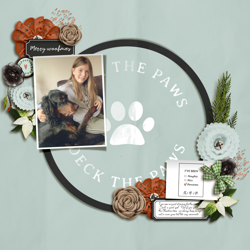 Deck The Paws