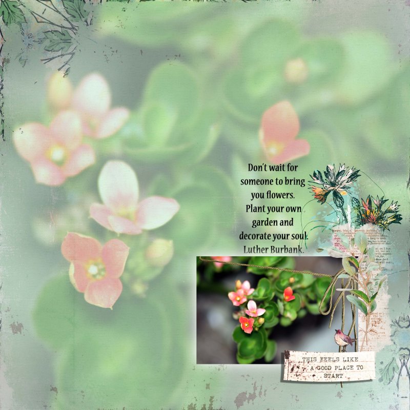 Decorate Your Soul With Flowers