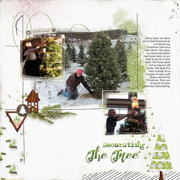 Decorating the Tree