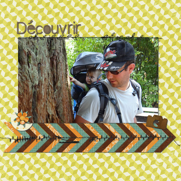 Découvrir
