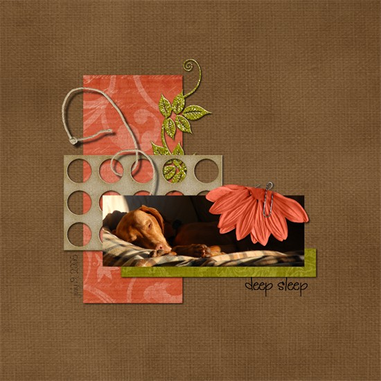 deep sleep