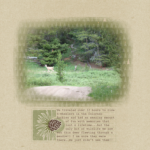 deer in meadow