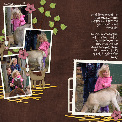 Deer Meadow Farms 2011