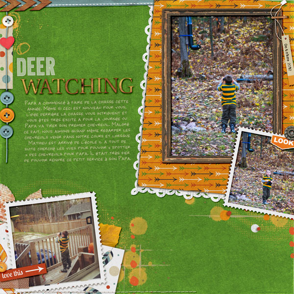 Deer Watching