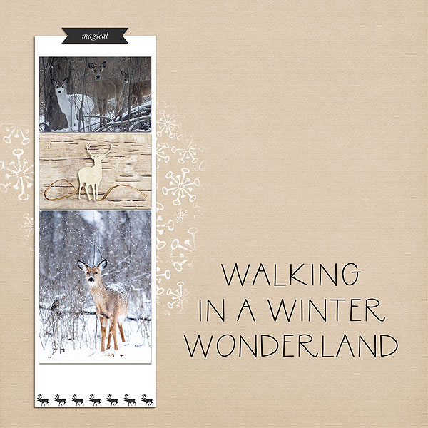 Deer::Winter