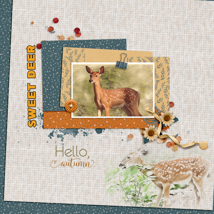 Deer