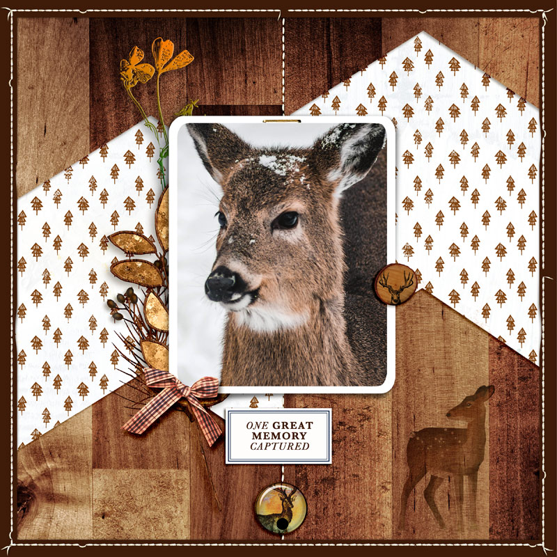 Deer
