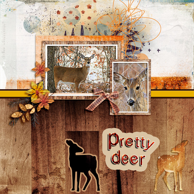 Deer