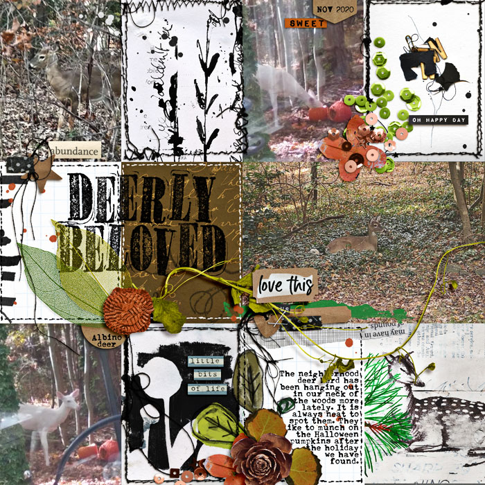 Deerly Beloved