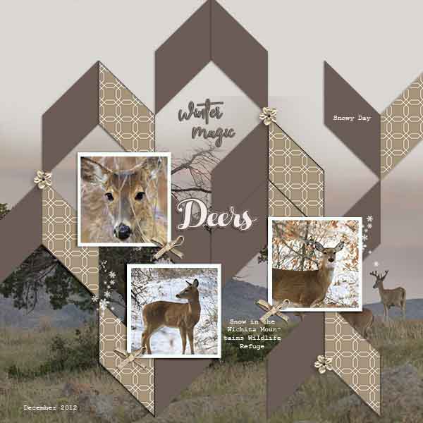 Deers