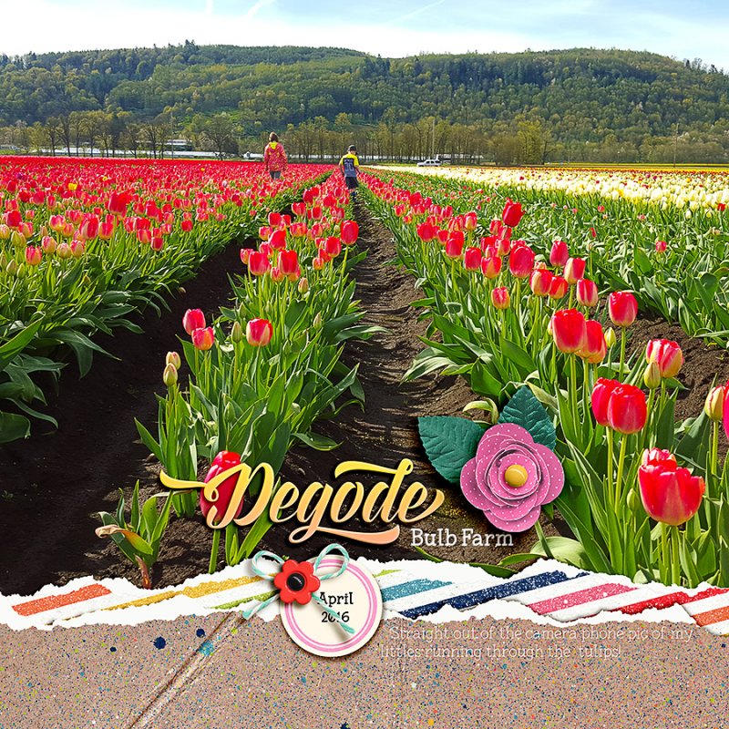 Degode Bulb Farm