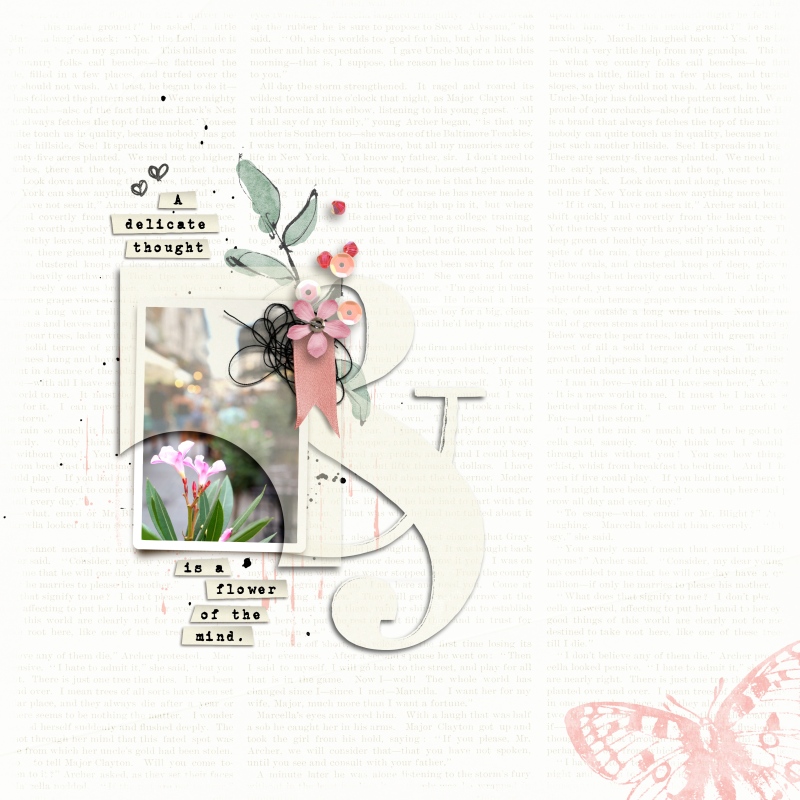 Delicate
