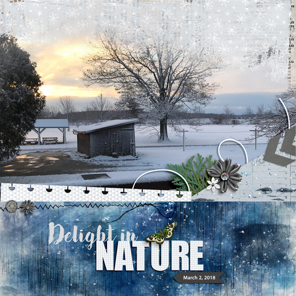Delight in Nature