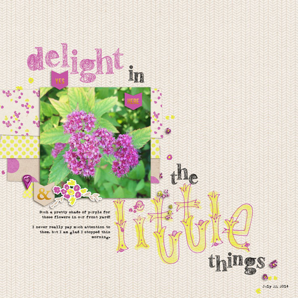 Delight in the Little Things