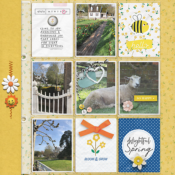 Delightful Spring