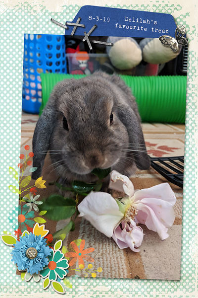 Delilah's Favourite Treat
