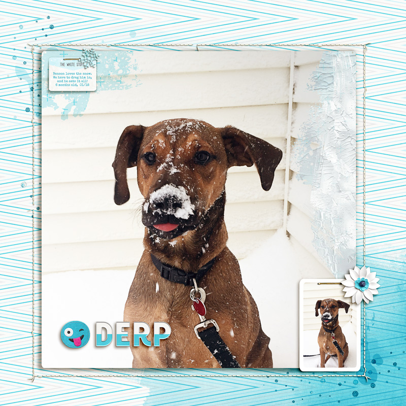Derp