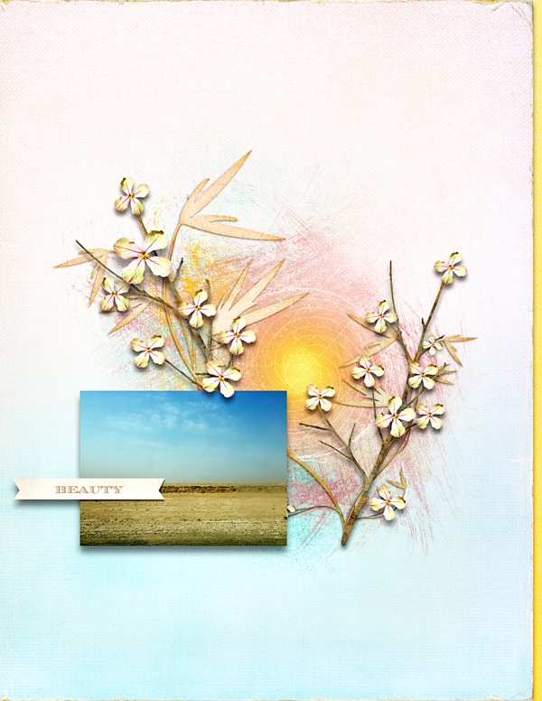 DesertBeauty