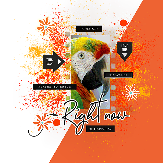 Designed By Soco-Love Our Designers-February 26th-Look On The Bright Side
