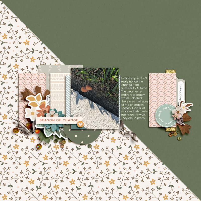 Designed by Soco & Sara Gleason & Becca Bonneville - DSD 2024 - Equinox