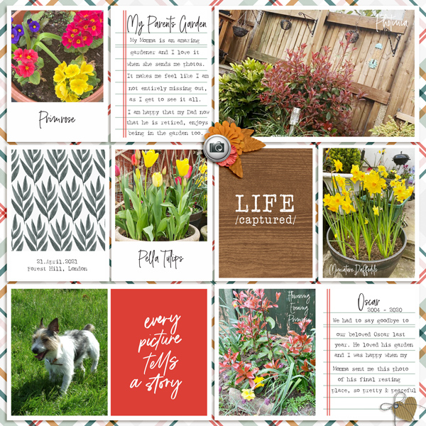Designed by Soco x Sabrina's Creations: Life Captured - Garden