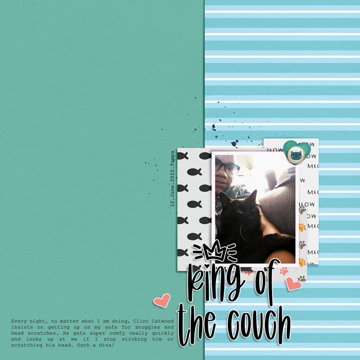 Designed by Soco_Lucy & Leo - King of the Couch