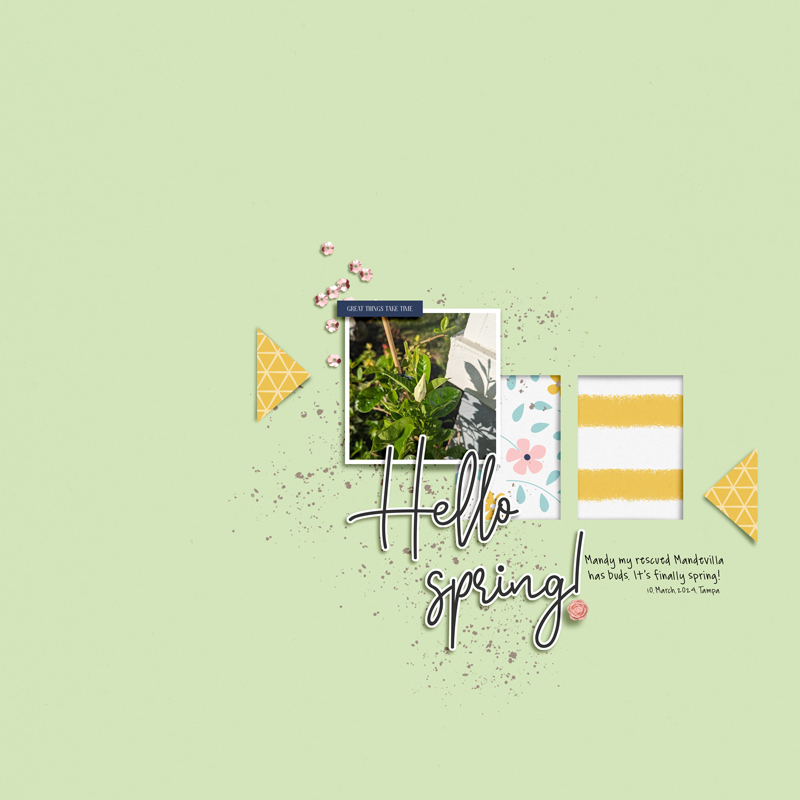 Designed by Soco_March24_SOSN13Mar_Bloom