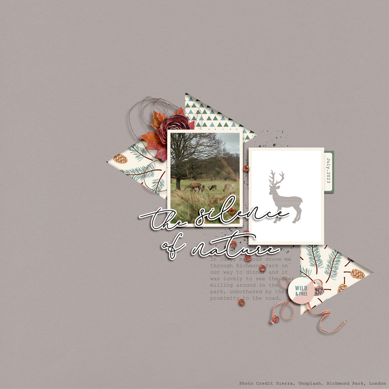 Designed by Soco_SOSN_Forest Tales
