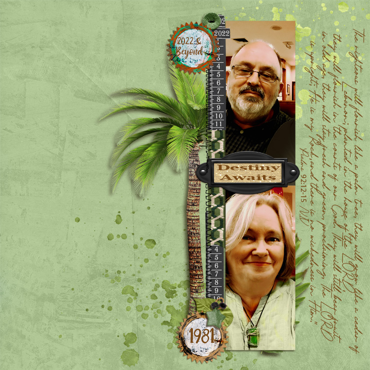 DESTINY  Awaits  ScrapliftFeb22web