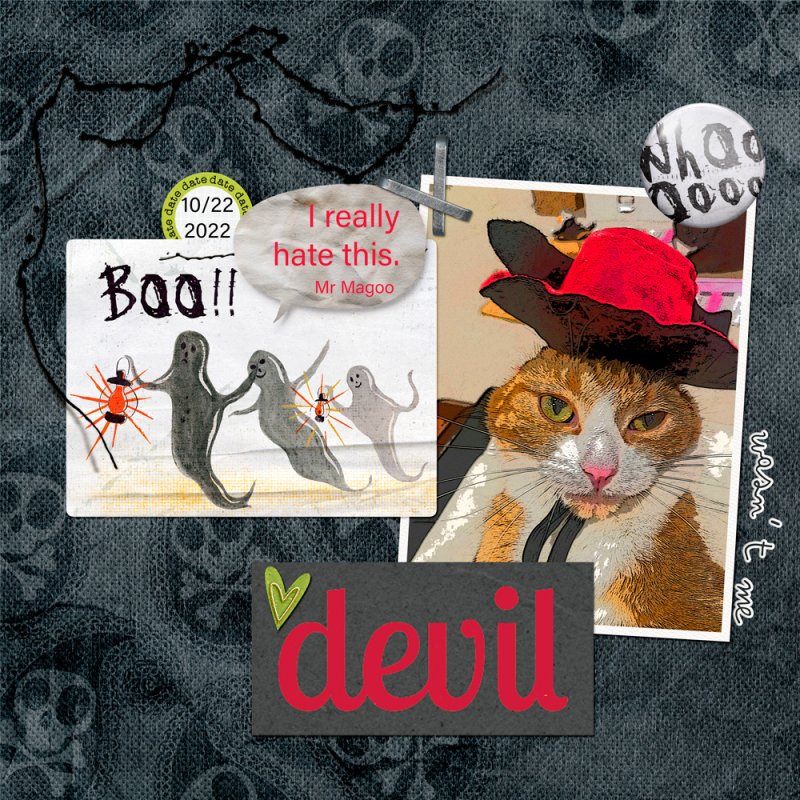 Devil Cat