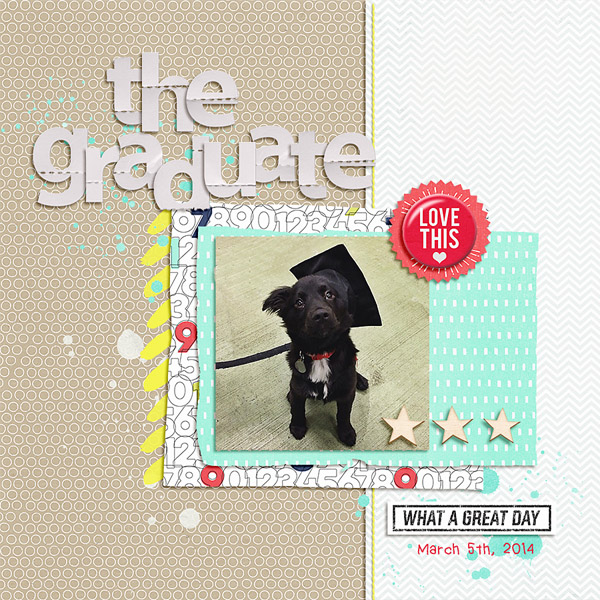 Digidare 407 the graduate