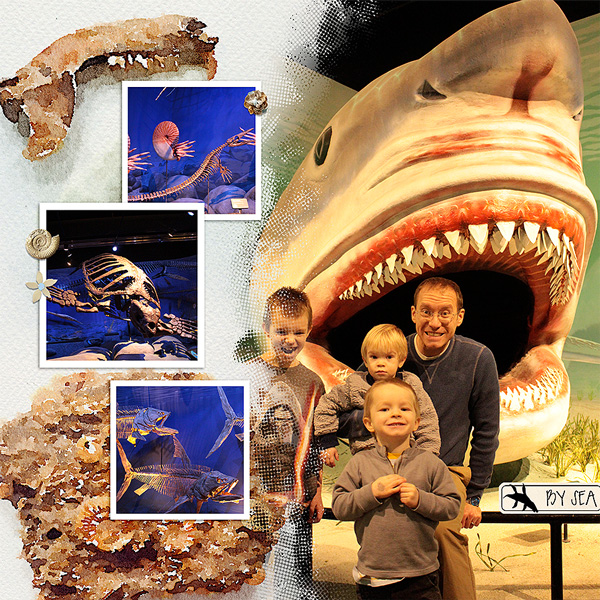 Dinosaur-Sealife
