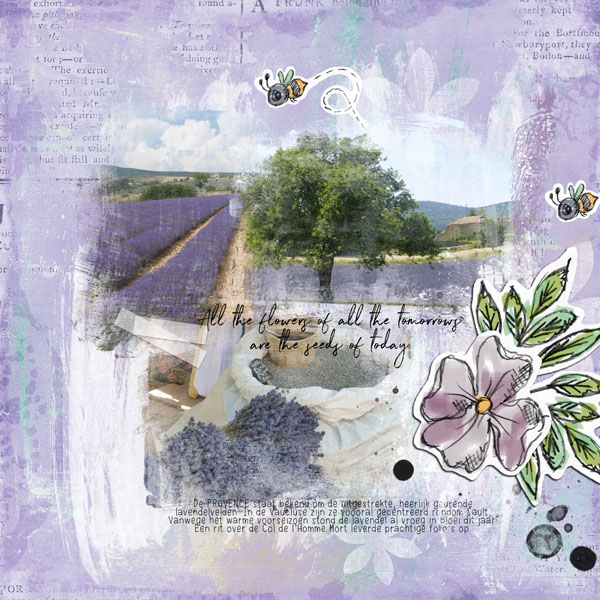 Dinskip Challenge JunJul Ellen 1 600x600