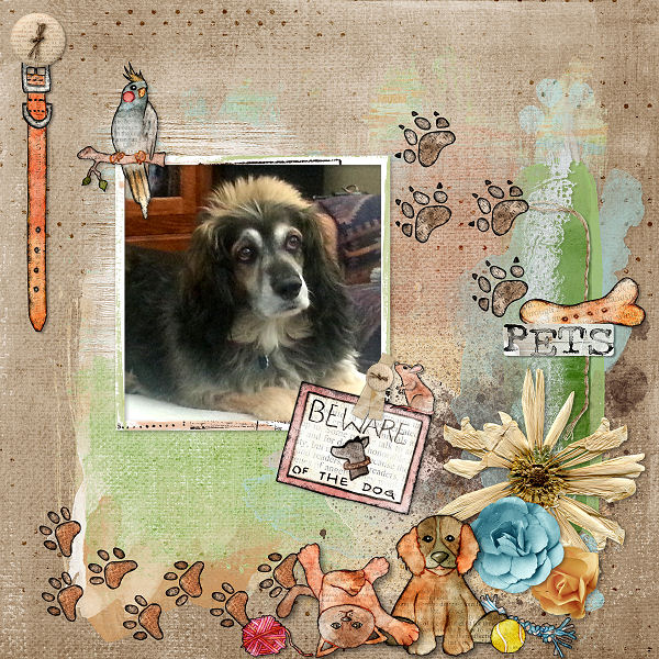Dinskip_JunJul_template_Callenge_Lovable Pets_By_Lana_2017