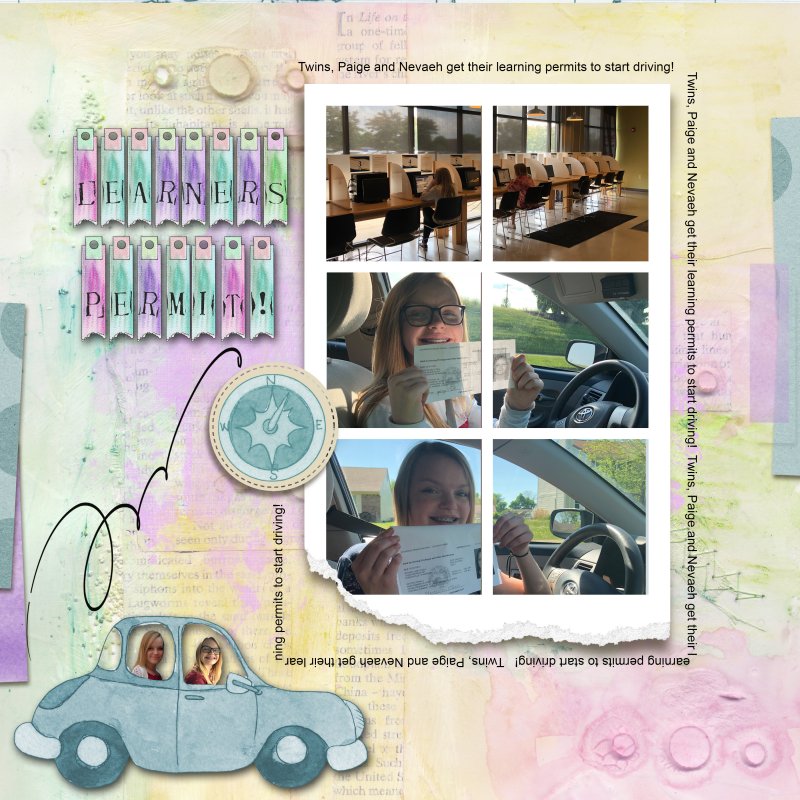 Dinskip_May18_Challenge_LEARNING PERMIT