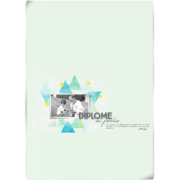 Diplome en poche