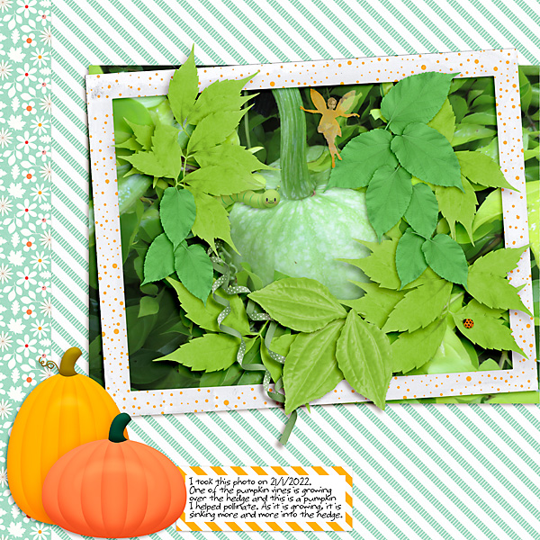 Disappearing Pumpkin