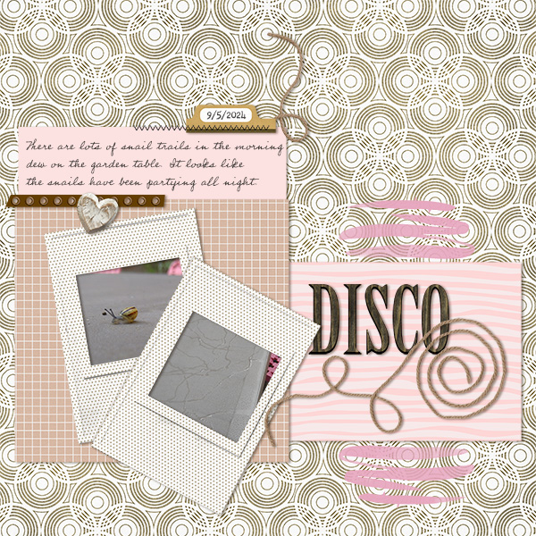 Disco