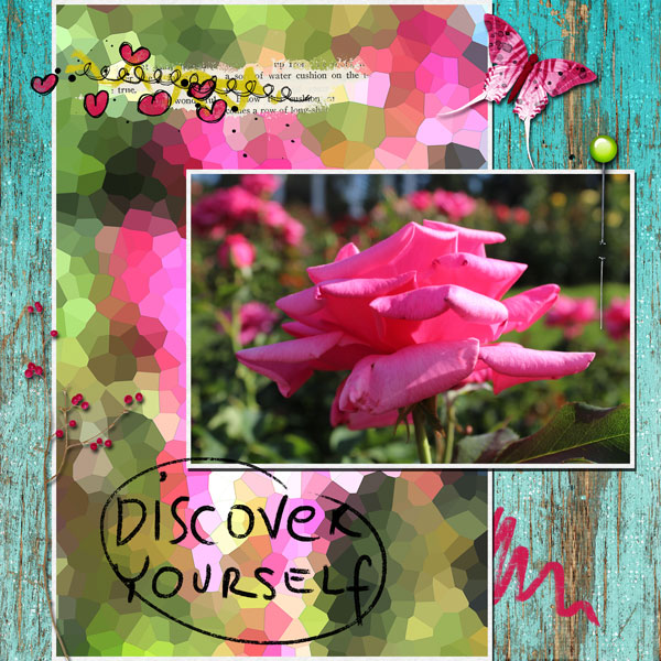Discover Yourself