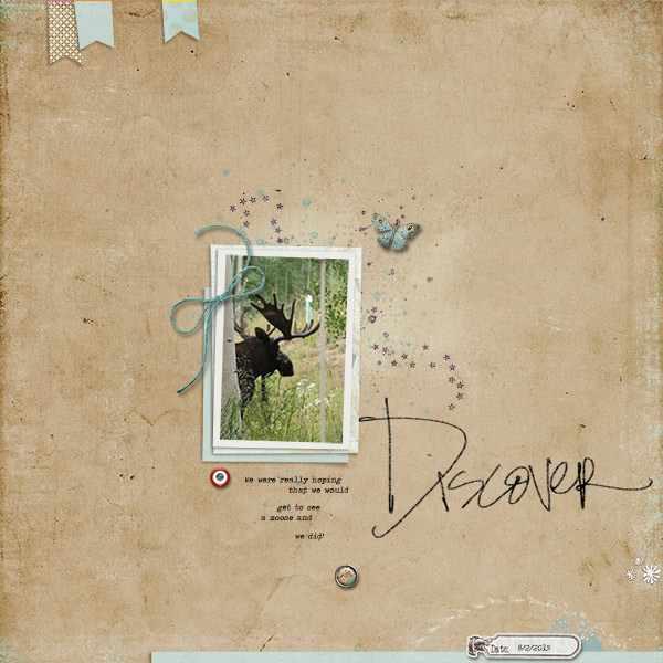 Discover