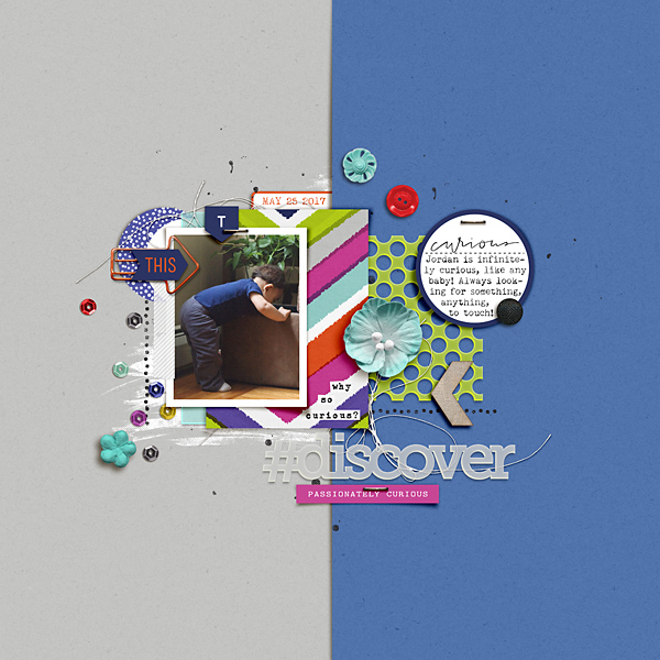 Discover