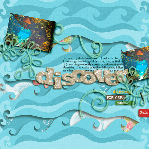 Discover