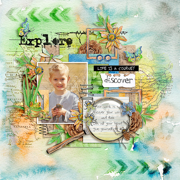discover