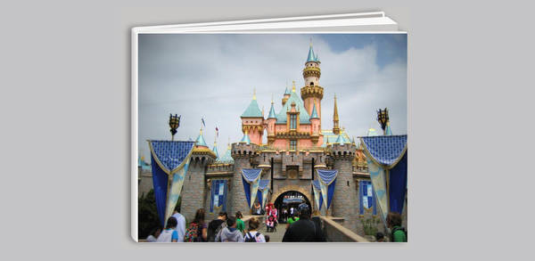Disneyland 2008 - 1