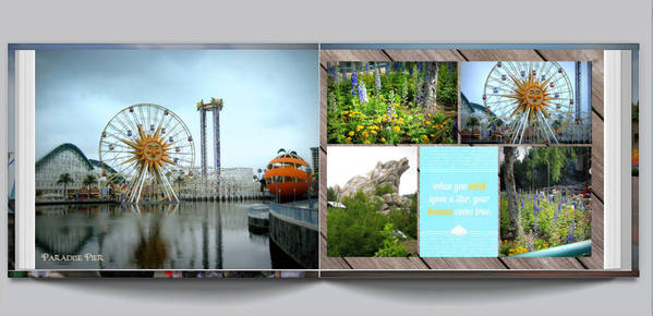 Disneyland 2008 - 13